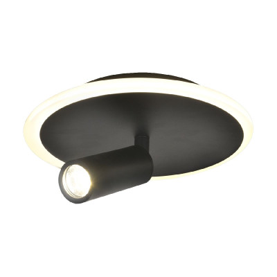 Настенно-потолочный светильник Escada 20046SMA01LED BK 900₽