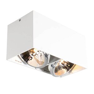 Потолочный светильник Zumaline BOX SL 2 89949-G9