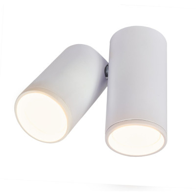 Спот IMEX IL00055015-2 590₽