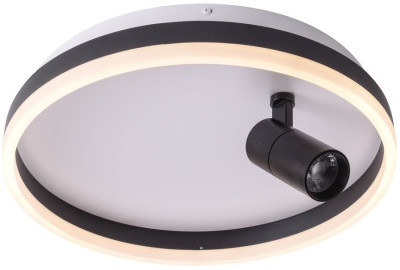 Потолочный светодиодный светильник Zortes Raizy ZRS188803 14025₽