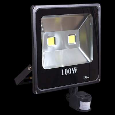Прожектор Reluce 54100-02-001QY LED100WSENSOR BK 2650₽
