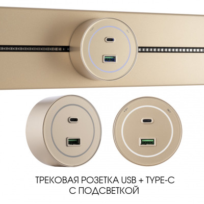 Трековая розетка Arte Milano Am-track-sockets-39 399732TSUSB-Type-C Gold 1916₽