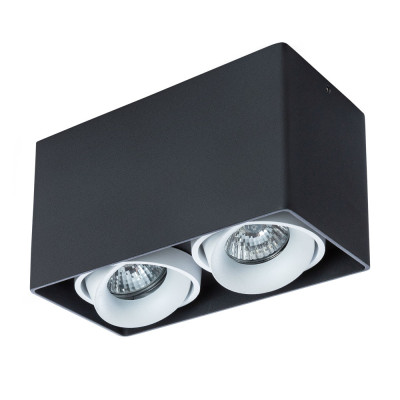 Потолочный светильник Arte Lamp Pictor A5654PL-2BK 1030₽