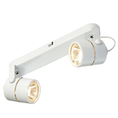 Спот IMEX IL00050215-2 1310₽