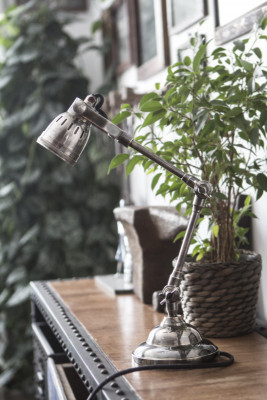 Настольная лампа Covali Лампа настольная NL-51994 27520₽