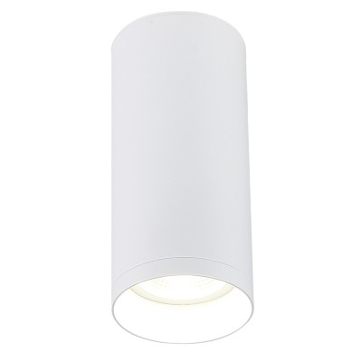 Накладной светильник Simple Story 2034-1CLW 1088₽