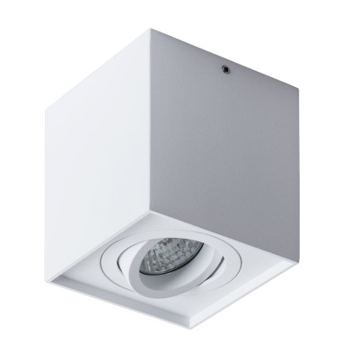 Потолочный светильник Arte Lamp Factor A5544PL-1WH 940₽