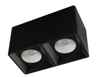 Накладной светильник Denkirs DK3085-BKCH 1922₽