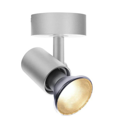 Спот SLV Spot 1002074 13984₽