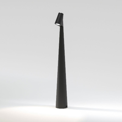 Настольная лампа Elektrostandard Elite 4690389208508 TL70250 a068070 9440₽