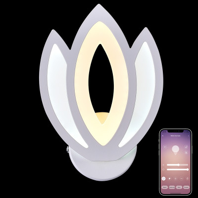 Настенный светильник Natali Kovaltseva LED LAMPS 811241W 2033₽