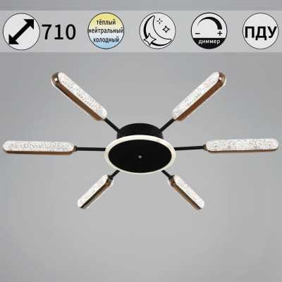 Потолочная люстра Reluce 08290-03-06 BKGD 5150₽