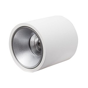 Влагозащищенный светильник LeDron RINBOK White/Grey
