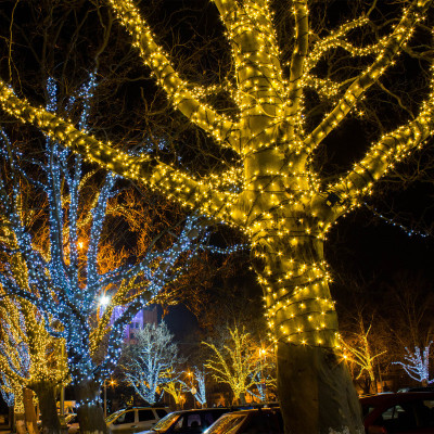 Светодиодная нить Eurosvet 400-102 белый 20м IP65 2720₽