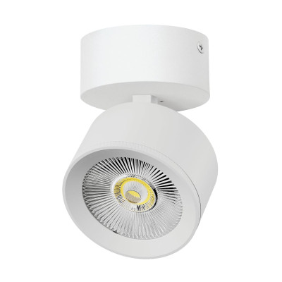 Накладной светильник Alta Pro Lightstar A5546SO 5397₽