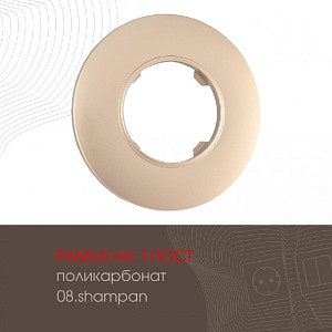 Рамка одноместная Arte Milano 502.08-1.shampan