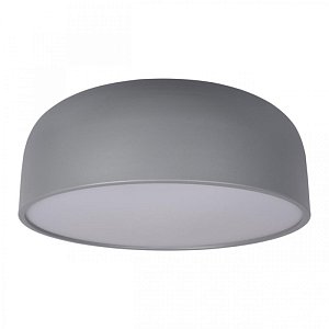 Потолочный светильник Loft IT Axel 10201/480 Grey