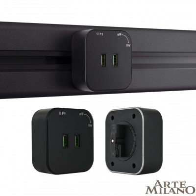 Трековая розетка Arte Milano Am-track-sockets 380022TSUSBx2 Black 1644₽