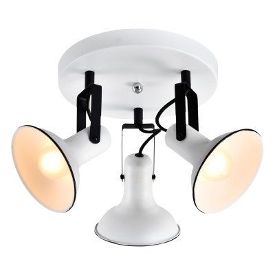 Спот Lussole Loft Fargo LSP-8803 5287₽