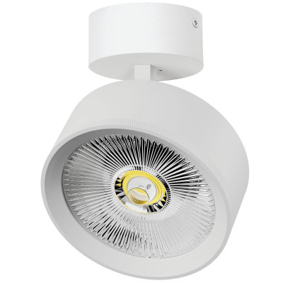 Накладной светильник Alta Pro Lightstar A5746SO 8697₽