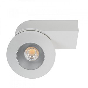Влагозащищенный светильник LeDron KRIS SLIM White/Grey