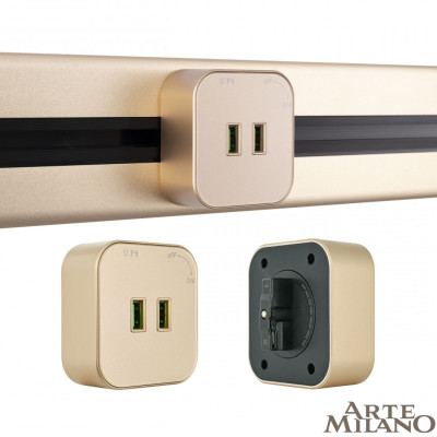 Трековая розетка Arte Milano Am-track-sockets 380022TSUSBx2 Gold 1644₽
