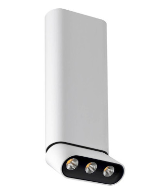 Светодиодный спот Lumien Hall Фергус 80053CL-WT-BK 3680₽