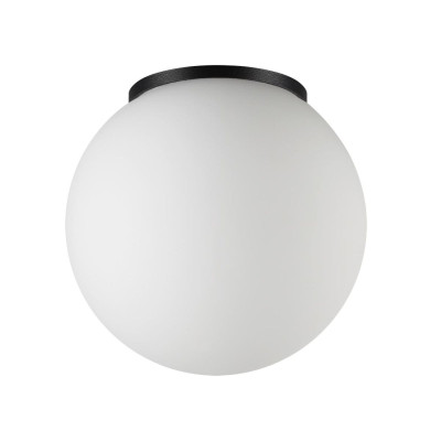 Уличный потолочный светильник Odeon Light Nature Viva 71241C 4792₽