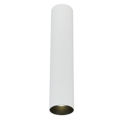 Накладной светильник Simple Story 2055-LED10CLW 2406₽