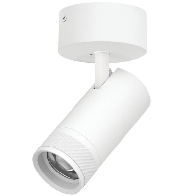 Накладной светильник 20-55G с адаптером Lightstar Canno Pro C4306SO 9698₽
