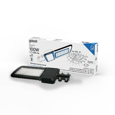 Уличный светодиодный консольный светильник Gauss Qplus 629535300 6150₽