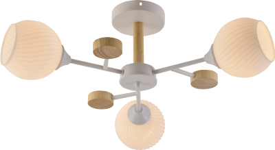 Люстра на штанге Rivoli Chiara 9180-303 3278₽