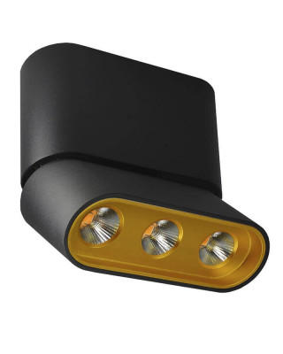 Светодиодный спот Lumien Hall Фергус 80053CS-BK-GD 3160₽