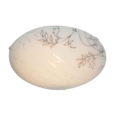 Настенно-потолочный светильник Apeyron 16-183 403₽