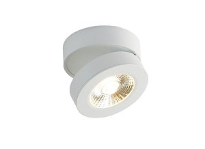 Накладной светильник Donolux DL18962R12W1W