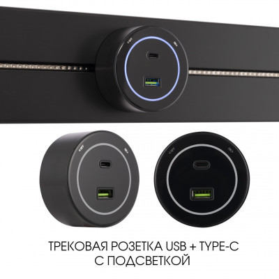 Трековая розетка Arte Milano Am-track-sockets-39 399732TSUSB-Type-C Black 1916₽