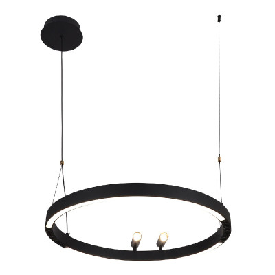 Подвесная люстра F-Promo Slinga 4474-1P 25900₽