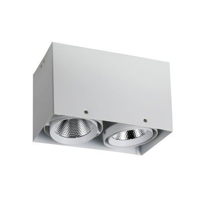 Потолочный светодиодный светильник Favourite Flashled 1986-2U 1000₽