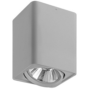 Потолочный светильник Lightstar Monocco 212639 УЦ