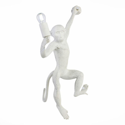 Бра Evoluce Tenato SLE115111-01 9100₽