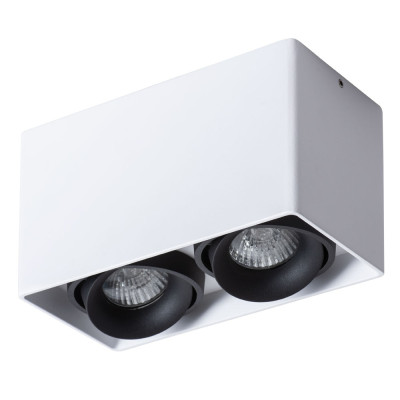 Потолочный светильник Arte Lamp Pictor A5654PL-2WH 1250₽