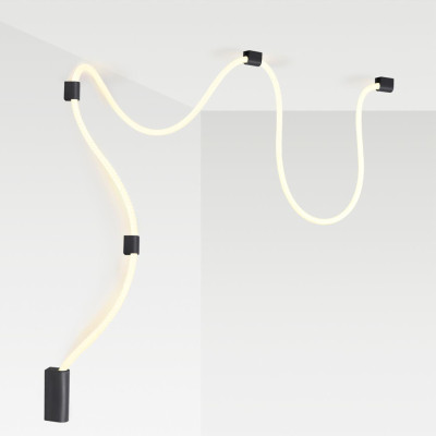 Настенно-потолочный светильник Odeon Light Corda 439130CL 21590₽