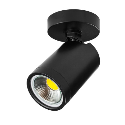 Спот Lightstar Rullo 213407 999₽