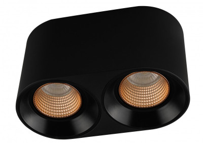 Накладной светильник Denkirs DK3096-BKBR 1413₽