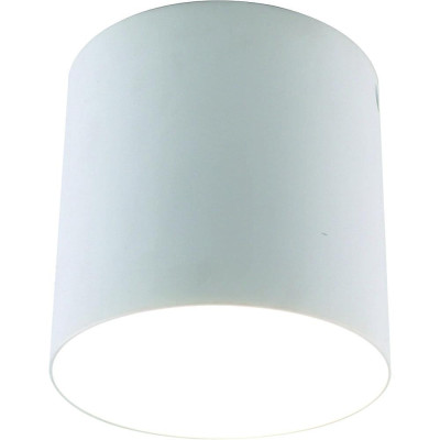 Потолочный светильник Divinare Tubo 146503 PL-1 1630₽