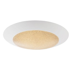 Потолочный светодиодный светильник Globo Mio 49002-37
