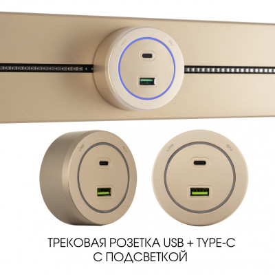 Трековая розетка Arte Milano Am-track-sockets-39 399731TSUSB-Type-C Gold 1696₽