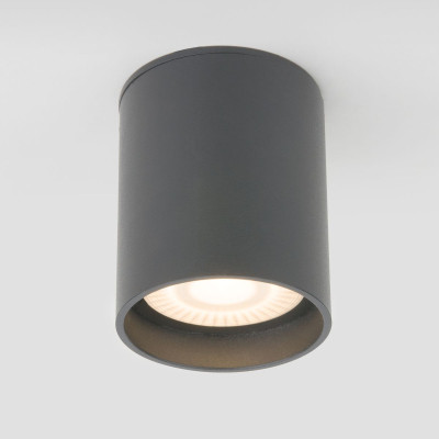 Уличный потолочный светильник Elektrostandard Light LED 4690389177002 2780₽