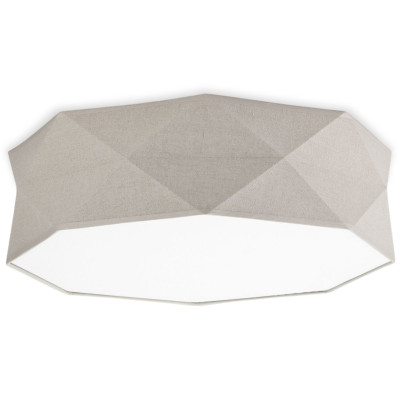 Потолочный светильник TK Lighting 6195 Kantoor Nature a059803 22700₽