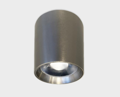 Потолочный светильник влагозащищенный Italline IT014-0207 nickel 5600₽